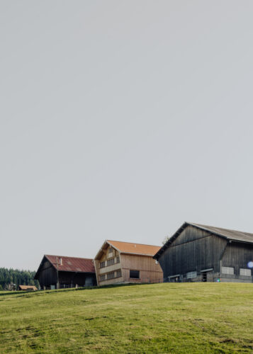 Timofust planwerk remo koller thrüen 10